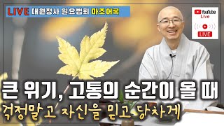 [마조29] 인생의 큰 위기가 올 때, 이혼, 질병, 퇴직 등, 걱정말고 자신을 믿어 봐