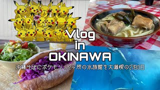 【Vlog】卒業旅行第2弾🌟理系大学院生が行く3月の沖縄🌺〜沖縄そば・アメリカンヴィレッジ・美ら海🐟かりゆし水族館など〜