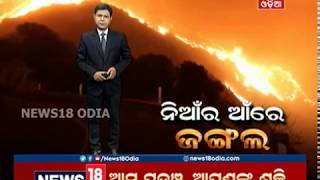 SPECIAL REPORT | ନିଆଁର ଆଁରେ ଜଙ୍ଗଲ | 14 Nov 2018 | News18 Odia