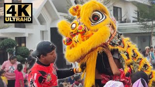 [4K] BARONGSAI KUNING BERANTEM LAWAN ULAR | Surabaya Art \u0026 Culture Festival 2023