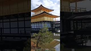 2022京都　金閣寺　　　　　2022 Kyoto Kinkakuji Temple