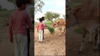 Cow 🐄 Love 💕 Motivational Video #shorts #trending #youtubeshorts #cow