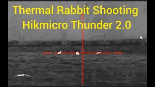 Rabbit shooting thermal style. Hikmicro Thunder 2.0