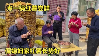 倔媳妇家红薯长势好，华强高兴唱着歌干劲十足，回家先煮一锅尝鲜