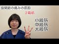 【自宅でトレーニング】股関節の前側に痛みがある方は4つの筋肉が原因かも！｜茨城県結城市 あお整骨院