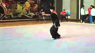 Shang Style Xing Yi Quan - Chicken Style Form - China Competition 2010