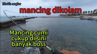 Mancing cumi di disini cukup di kolam ‼️  banyak bener boss cuminya