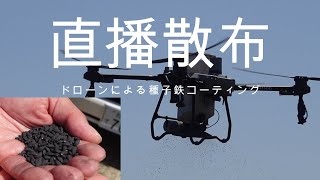 田植の革命【ドローン直播散布】黒鉄コートの粒剤種子捲き　DJI T25