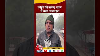 Agra में धुंध में छिपा Taj Mahal #shorts #shortsvideo #fog #tajmahal