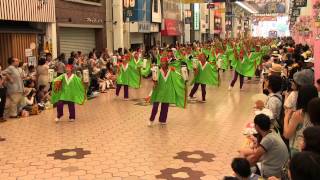 よさこい全国大会(2013/8/12) 「さぬき踊らんな連」