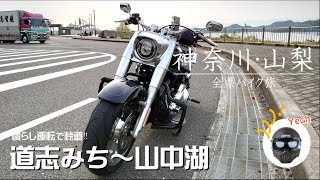 【ファットボーイ】道志みち | 道の駅どうしから山中湖 | 慣らし運転【ハーレー】