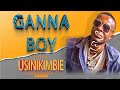 USINIKIMBIE Song GANNA BOY official AUDIO