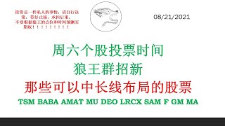 周六美股个股投票时间 狼王群招新 那些可以中长线布局的股票TSM BABA AMAT MU DEO LRCX SAM F GM MA