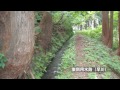 奴奈川の郷の里地棚田～隠れた魅力糸魚川～