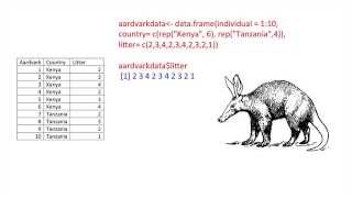 Data Frames and Lists in R: The Basics