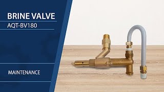 Brine Valve - AQT-BV180 (For AQT-315 \u0026 AQT-390 Softener Valves)