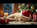 christmas music for cats 🎄 sleep music for cats no ads ♬ 🎅sleep music for anxious cats