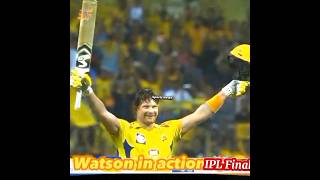 Best OF Shane Watson #shortvideo #youtoube #sports NEWS