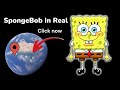 SpongeBob In Real 🧽 on google maps and google earth 🌍 #shorts #worldyguy2m