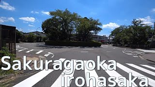 東京都多摩市 桜ヶ丘いろは坂　Sakuragaoka Iroha-zaka, Tama City, Tokyo