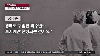 [사건상담실] 토지의 과수 소유권 갈등…해법은? 사건반장 1313회