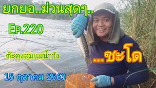 ยกยอ ม่วนสุดๆ หมานสุดๆ กลางแม่น้ำวัง วันที่ 15 ตุลาคม 2563 Ep.220