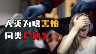 麻雀多达100亿只，为什么死了看不到尸体？人类为啥害怕同类尸体？