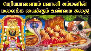 Periyapalayam Bhavani Amman Temple History in Tamil | Amman Story in Tamil | Magizhvidam |