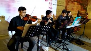 camerata strings - salut d'amour