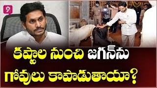 కష్టాల నుంచి జగన్‌ను గోవులు కాపాడుతాయా? | Special Story | Prime9 News