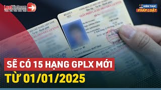 [Tổng Hợp] 15 Hạng Giấy Phép Lái Xe Mới Từ 01/01/2025 | LuatVietnam.vn