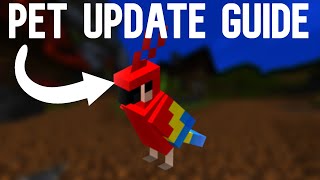 Pets Full Update Guide | Hypixel Skyblock