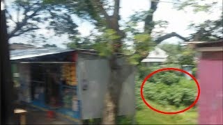 বাসের মধ্য থেকে দৌলতদিয়া, আরিচা ঘাটের রাস্তা এবং দোকান দেখুন। Daulatdia, Aricha Ghat Road from bus