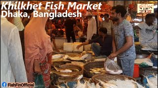 Amazing Dhaka Khilkhet Fish Market | Fish Fin | Bangladeshi Fish Market