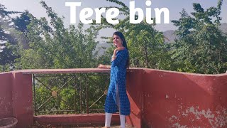 Tere bina from Guru dance performance