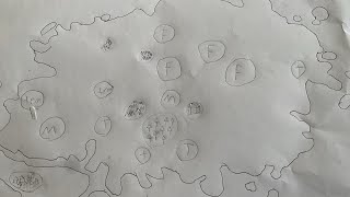 Making A Rice Map, Part 1