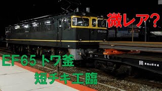 EF65 トワ釜牽引 短チキ工臨 レール積載 EF65 1124+チキ5200 山陽線 西条駅にて　2021/04/14