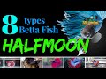 8 types of halfmoon betta fish