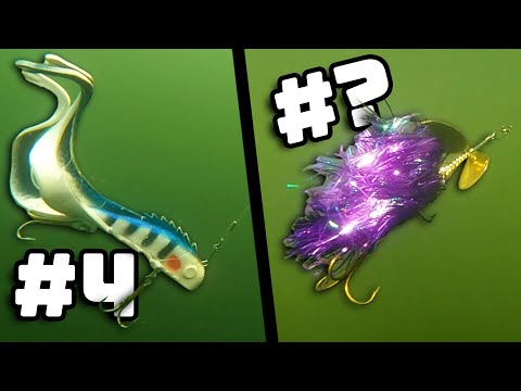 What is the best bait to use for muskie?