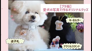 【プラ板3wayアレンジ】愛犬の写真で作るオリジナルグッズ！〜アクリルスタンド風・キーホルダー・迷子札〜