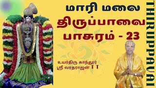 திருப்பாவை பாசுரம்-23 மாரி மலை|Thiruppavai in Tamil| Maari Malai |Song 23|Aandal |Pasuram|Lion|Krish