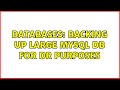 Databases: Backing up large MySQL DB for DR purposes