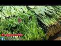 very fresh vegetables in the tsz wan shan market hongkong market vegetables hongkong