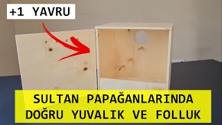 Kuş Üretiminde Doğru Yuvalık ve Folluk Kullanımı || Üretim Sırları || 6.Bölüm