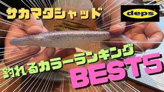 【人気ランキング】サカマタシャッドの釣れるカラーBEST5！視聴者様とTwitterのフォロワー様の投票結果は！？