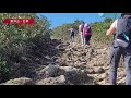 山糸 東洋山芒草之旅 西貢井欄樹 大老坳 基維爾營地 飛鵝山 芒草 香港行山路線 行山vlog