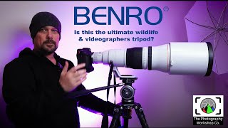 Is The Benro WH-15 head and Mammoth Tripod Legs The Ultimate Wildlife and Video Tripod Set up?