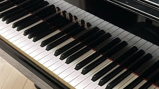 Chopin Etude Op.10-1,2,3,4,5,8 practice