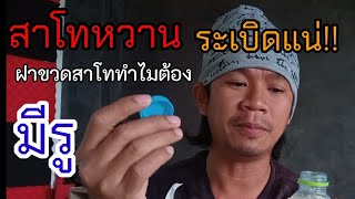 แช่สาโทในตู้เย็นทำไมถึงระเบิด!!! เรามีวิธีแก้ #สาโทหวาน #สาโททำไมต้องมีรู