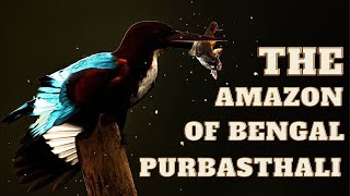 Purbasthali, the mini amazon of West Bengal | Our first collaboration with a wild life photographer